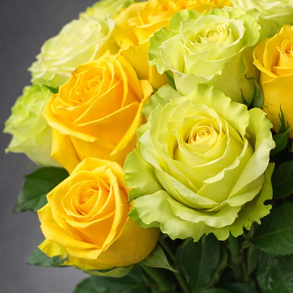 Букет зеленых и желтых роз! Яркая солнечная мечта